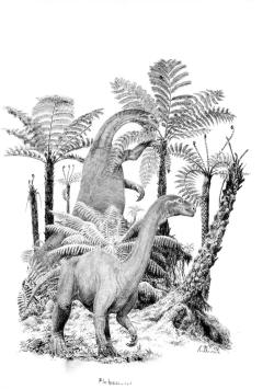 Rekonstrukce vzezření pozdně triasového sauropodomorfa druhu Plateosaurus trossingensis. Ilustrace Vladimíra Rimbaly pro knihu autora Pravěcí vládci Evropy (2020).