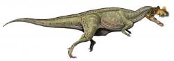 Rekonstrukce původního vzezření teropodního dinosaura druhu Ceratosaurus nasicornis. tento středně velký dravý dinosaurus žil v období pozdní jury na území Severní Ameriky a možná i Evropy. Spadal do čeledi Ceratosauridae a kladu Ceratosauria, jejichž názvy jsou odvozeny od rodového jména tohoto dinosaura. Kredit: DiBgd, Wikipedie (CC BY 2.5)