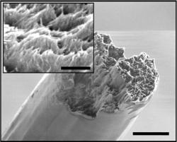 Nový nanomateriál pod rastrovacím EM. Kredit: KTH Royal Institute of Technology.