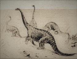Zastaralá rekonstrukce „obojživelného“ sauropoda druhu Amphicoelias altus v podání Charlese R. Knighta (1897). Až v polovině minulého století bylo definitivně prokázáno, že podobné aktivity nepřipadaly u sauropodních dinosaurů v úvahu. Takto ponořený sauropod by vlivem hydrostatického tlaku nejspíš do několika minut zahynul. Kredit: Charles R. Knight; Wikipedie (volné dílo)