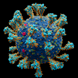 Model vnější struktury viru SARS-CoV-2 způsobujícího koronavirové onemocnění COVID-19. Kobaltová modř – membrána, tyrkysová - Spike  glykoprotein,  zelená – matricový (matrix) protein, purpurová - obalový (envelope) protein,  oranžová: glykan. Kredit: Alexey Solodovnikov, Valeria Arkhipova, Wikimedia CC BY-SA 4.0