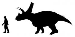 Silueta titanoceratopse a jeho velikostní porovnání s dospělým člověkem (zde podoba s mírně kratším lebečním hřebenem). Tento rohatý dinosaurus dosahoval velikosti současného slona afrického. Kredit: Andrew A. Farke, Nobu Tamura; Wikipedie (CC BY-SA 3.0)