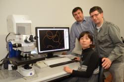 Stanislav Gorb, Yoko Matsumura and Alexander Kovalev (zleva do prava). Ústav zoologie, Kiel University. Foto: Raissa Nickel, KU.