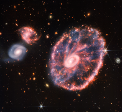 Studium tvorby hvězd v galaxii Kolo vozataje zobrazená pomocí Webbova dalekohledu. Tato galaxie je v souhvězdí Sochaře ve vzdálenosti 500 milionů světelných let (zdroj NASA).