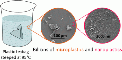 Schéma pokusu při němž vyšlo najevo, že se z plastových čajových sáčků uvolňují do čaje miliardy mikro i nanočástic. Kredit: L.M. Hernandez, McGill.