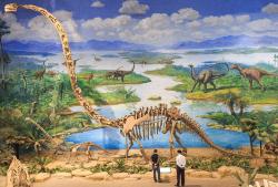 Omeisaurus tianfuensis je s délkou kolem 20 metrů největším známým druhem rodu Omeisaurus. Samotný jeho extrémně dlouhý krk, tvořený 17 cervikálními obratli, měří na délku přes 9 metrů. Kredit: Zhangzhugang; Wikimedia Commons (CC BY-SA 4.0)