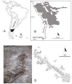 Mapa lokality a nálezová situace druhu Bicharracosaurus dionidei. Fosilie tohoto sauropodního dinosaura byly objeveny v roce 2001 v sedimentech geologického souvrství Cañadón Calcáreo na území argentinské provincie Chubut. Kredit: Reutter, A.; et al. (2026); Wikimedia Commons (CC BY 4.0)