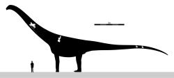 Rekonstrukce přibližné velikosti a tvaru těla puertasaura. Dokonce i značně konzervativní odhady udávají tomuto obřímu sauropodovi délku kolem 30 metrů a hmotnost nejméně 50 tun. Kredit: Slate Weasel; Wikipedia (CC0) Rekonstrukce přibližné velikosti a tvaru těla puertasaura. Dokonce i značně konzervativní odhady udávají tomuto obřímu sauropodovi délku kolem 30 metrů a hmotnost nejméně 50 tun. Kredit: Slate Weasel; Wikipedia (CC0)