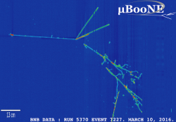 Obrázek interakce z detektoru neutrin MicroBooNe, který také využívá kapalný argon a je předchůdcem detektoru DUNE (zdroj MicroBooNe).