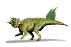 Obrazová rekonstrukce přibližného vzezření jednoho z mnoha popsaných druhů rodu Psittacosaurus (P. sibiricus). Tento velmi rozšířený rod vývojově primitivního rohatého dinosaura žil v období rané křídy na rozsáhlém území východní Asie, a to v oblasti současné Číny, Mongolska, Laosu, Thajska i Ruského Dálného východu. Kredit: Nobu Tamura; Wikipedia (CC BY 3.0)