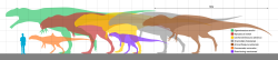 Porovnání tělesných rozměrů známých zástupců karcharodontosauridů. Dosud nepopsaný druh ze skupiny Kem Kem nejspíš velikostně odpovídal rodu Carcharodontosaurus až Acrocanthosaurus. Kredit: Slate Weasel; Wikipedia (volné dílo)