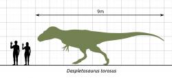 Porovnání velikosti člověka a dospělého jedince tyranosaurida druhu Daspletosaurus torosus. Od vyhynutí neptačích dinosaurů před 66 miliony let už se na suché zemi (mimo sladkovodní ekosystémy osídlené obřími krokodýly) tak velcí predátoři nevyskytovali. V Jižní Americe však ještě velcí terestričtí krokodylomorfové představovali poslední dravé obry s hmotností přes 1 tunu a lebkou dlouhou až kolem 1 metru. Není divu, že si jejich fosilie badatelé v 19. století občas pletli se zkamenělými pozůstatky velkých teropodů. Kredit: Steveoc 86; Wikipedie (CC BY-SA 4.0)
