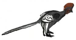 Anchiornis huxleyi patří k nejmenším známým neptačím dinosaurům. Je také zatím nejstarším opeřencem, jehož barva byla dešifrována podrobnou analýzou fosilních melanozomů. Proslulého archeopteryxe překonává o celých 10 milionů let. Kredit: Matt Martyniuk, Wikipedie