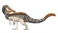 Výtvarná rekonstrukce spinosaurida druhu Riparovenator milnerae, formálně popsaného v loňském roce z ostrova Wight (geologické souvrství Wessex). Tento asi 8 až 9 metrů dlouhý dravec patrně obýval pobřežní ekosystémy současné západní Evropy v době před 128 miliony let. Kredit: PaleoGeekSquared (založeno na kosterní rekonstrukci od Dana Folkese); Wikipedia (CC BY-SA 4.0)