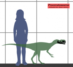 Velikostní srovnání proceratosaura a člověka. Největší exempláře tyranosaurů byly asi pětkrát delší a dosahovaly více než stonásobné hmotnosti. Kredit: Conty, Wikipedie (CC BY 3.0)