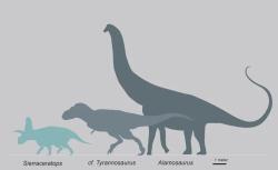 Dinosauří megafauna souvrství Hall Lake (skupina McRae), datovaná do doby před zhruba 73 až 70 miliony let. Silueta označená dříve jako cf. Tyrannosaurus patří nyní druhu T. mcraeensis. Spolu s tímto obřím dravcem se zde vyskytoval i velký ceratopsid Sierraceratops turneri, gigantický titanosaurní sauropod rodu Alamosaurus a velký kachnozobý dinosaurus, patrně rodu Edmontosaurus. Kredit: NickLongrich; Wikipedia (CC BY-SA 4.0)