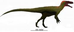 Rekonstrukce přibližného tvaru těla a vzezření druhu Marshosaurus bicentesimus. Tento teropod dorůstal do délky v rozmezí až kolem 5 metrů a mohl vážit přibližně čtvrt tuny. Přesto byl při hmotnosti dospělého lva mnohem menší než někteří jeho draví současníci, jako byl Torvosaurus nebo Allosaurus. Kredit: Dennonychus; Wikipedia (CC BY-SA 3.0)