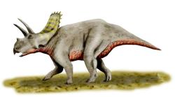 Arrhinoceratops byl středně velký ceratopsid, dosahující celkové délky v rozmezí 4,5 až 6 metrů a hmotnosti kolem 1300 kg, možná ale i podstatně více. Kredit: Nobu Tamura; Wikipedia (CC BY 3.0). Arrhinoceratops byl středně velký ceratopsid, dosahující celkové délky v rozmezí 4,5 až 6 metrů a hmotnosti kolem 1300 kg, možná ale i podstatně více. Kredit: Nobu Tamura; Wikipedia (CC BY 3.0).