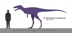Ačkoliv byl Khankhuuluu poměrně malým tyranosauroidem, přesto by v současné přírodě patřil k největším suchozemským dravcům. S odhadovanou hmotností kolem 750 kg by byl prakticky ve stejné váhové kategorii jako největší medvědovité šelmy. Kredit: SlvrHwk; Wikipedia (CC BY-SA 4.0) Ačkoliv byl Khankhuuluu poměrně malým tyranosauroidem, přesto by v současné přírodě patřil k největším suchozemským dravcům. S odhadovanou hmotností kolem 750 kg by byl prakticky ve stejné váhové kategorii jako největší medvědovité šelmy. Kredit: SlvrHwk; Wikipedia (CC BY-SA 4.0)