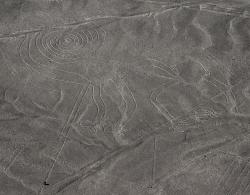 Opice. Kredit: Markus Leupold-Löwenthal CC BY-SA 3.0, Wikipedia. Opice. Kredit: Markus Leupold-Löwenthal CC BY-SA 3.0, Wikipedia.