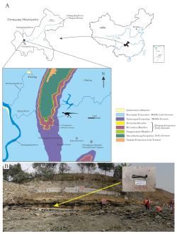 Vyznačení zeměpisné polohy, podrobná mapa a fotografie z typové lokality malého ptakopánvého dinosaura druhu Archaeocursor asiaticus. Tento archaický zástupce ptakopánvých žil v době před zhruba 190 miliony let na území dnešní jižní Číny. Kredit: X. Yao et al. (2025); Wikipedia (CC BY 4.0)