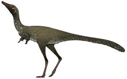 Přibližná podoba malého alvarezsauridního teropoda druhu Manipulonyx reshetovi, žijícího v období pozdní křídy (asi před 70 miliony let) na území dnešního Mongolska. Fosilie byly objeveny v sedimentech geologického souvrství Nemegt. Kredit: Connor Ashbridge; Wikipedia (CC BY 4.0)