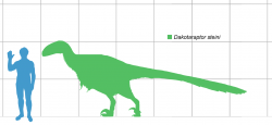 Odhadovaná maximální velikost dakotaraptora podle většího jedince, dochovaného ve fosilním záznamu. Při délce až šest metrů mohl dosahovat hmotnosti několika stovek kilogramů, vzhledem k velmi lehké stavbě těla byl ale relativně štíhlý a agilní. Přesto je nesrovnatelně robustnější než drtivá většina zástupců této čeledi, z nichž někteří dosahovali jen velikosti kura domácího. Kredit: Matthew Martyniuk, Wikipedie (licence CC BY 4.0)