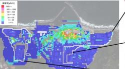 Dozimetrická situace v areálu elektrárny. Je vidět, že vysoký dávkový příkon je v okolí zničených bloků. V ostatních částech elektrárny je dávkový příkon velmi nízký. Dávkový příkon je ukázán v mikrosievertech za hodinu. Připomeňme, že dávkový příkon jeden mikrosievert za hodinu vede k roční dávce necelých 8 mSv (zdroj TEPCO).