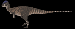 Pachycefalosaurid druhu Platytholus clemensi je zatím posledním přírůstkem do dinosauří fauny ekosystémů geologického souvrství Hell Creek. Jeho fosilie byly objeveny v Montaně a patřil k posledním žijícím druhům neptačích dinosaurů. Kredit: Connor Ashbridge; Wikipedia (CC BY-SA 4.0)