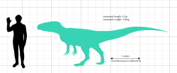 Xuanhanosaurus patřil do velikostní kategorie teropodů, schopných lovit menší až středně velkou kořist – od drobných savců, plazů a obojživelníků až po býložravé dinosaury přibližně do velikosti mohutného koně. Největší zástupci tohoto druhu mohli dosáhnout délky kolem 5 metrů a hmotnosti několika stovek kilogramů. Kredit: Audrey.m.horn; Wikipedia (CC BY-SA 4.0)