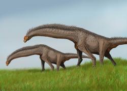 Saltasauridní sauropod druhu Isisaurus colberti, blízký vývojový příbuzný a zároveň i současník ekvádorského rodu Yamanasaurus. Isisauři však žili ve stejné době (asi před 70 miliony let) o tisíce kilometrů dál na východ, konkrétně až na území dnešní Indie. Kredit: Dmitrij Bogdanov; Wikipedie (CC BY 2.5).