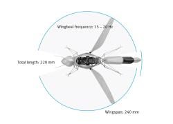 Morfologie robotické včely. Kredit: Festo.