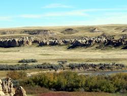 Výchozy geologického souvrství Foremost u řeky Milk River na území kanadské provincie Alberty. V současnosti je z vrstev této formace známo zhruba osm různých dinosauřích rodů, nejnovějším přírůstkem je právě tyranosaurid Thanatotheristes degrootorum. Stáří vrstev činí asi 80 až 77 milionů let, jsou tedy mírně starší, než například proslulé lokality v souvrství Dinosaur Park. Kredit: Georgialh; Wikipedie (CC BY-SA 4.0)