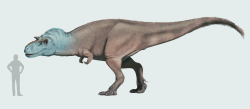 Nejpravděpodobnějším původcem „deinodontích“ zubů je velký albertosaurinní tyranosaurid Gorgosaurus libratus. Tento až 9 metrů dlouhý a 3 tuny vážící teropod žil v době před 77 až 75 miliony let na území dnešní kanadské Alberty a americké montany. Kredit: Leoomas; Wikipedia (CC BY-SA 4.0)