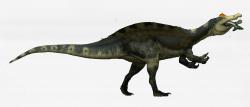 Dinosaurus s nejdelším rodovým jménem, popsaný v průběhu roku 2020, je spinosauridní teropod Vallibonavenatrix cani. Tento středně velký predátor obýval v období rané křídy (asi před 129 až 125 miliony let) oblast dnešního východního Španělska. Jeho fosilie byly objeveny v sedimentech souvrství Arcillas de Morella. Kredit: Felipe Elias; Wikipedie (CC BY-SA 4.0)