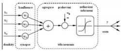 Model neuronu Kredit: Vojtěch Jíša, ZCU.