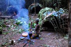 Pygmejští lovci-sběrači v pralese rovníkové Afriky. Právě na základě svědectví těchto domorodých lidí vznikly pověsti o Mokele-mbembe i mnoha dalších kryptidech. Kredit: JMGRACIA100; Wikipedia (CC BY-SA 4.0)