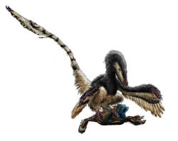 Současná představa o tělesné podobě a lovecké technice dromeosaurida druhu Velociraptor mongoliensis. Tento malý pozdně křídový opeřenec připomínal spíše nelétavého dravého ptáka. Kredit: Durbed; Wikipedia (CC BY-SA 3.0)