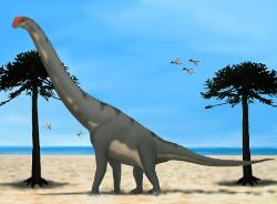 Obří sauropodi, jako byl například pozdně jurský portugalský brachiosaurid Lusotitan atalaiensis (na ilustraci) byli ve skutečnosti výlučnými obyvateli suchozemských ekosystémů. Nedá se zcela vyloučit možnost, že někteří sauropodi opakovaně vstupovali do vody, nejspíš šlo ale pouze o malé hloubky, kdy nebyl ponořen celý trup dinosaura. Kredit: Alamotitan; Wikipedie (CC BY-SA 4.0)
