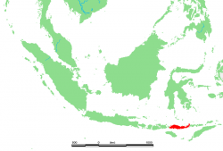 Ostrov Flores, Indonésie. Kredit: M.Minderhoud / Wikimedia Commons.