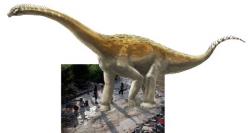 Ilustrace přibližného vzhledu původce fosilní série stop v Plagne s pozadím v podobě fotografie otisků. Velikost sauropodního dinosaura na obrázku by tedy mohla přibližně odpovídat v poměru k velikosti osob na snímku. Kredit: A. Bénétéau (ilustrace), Dinojura (foto).