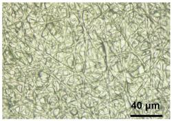 Umělá hybridní iontová kůže v optickém mikroskopu. Navzájem propletená polyuretanová nanovlákna v iontové matrici. Kredit: Wang et al., Nature Communications (2022) CCA 4.0.