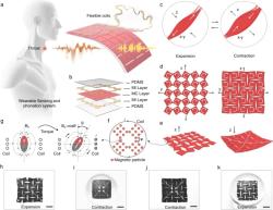 Ilustrace nositelného snímacího a fonačního systému, který se přilepuje na krk. (b) Diagram jednotlivých vrstev zařízení. (c) Dva způsoby pohybu svalů. Expanze indukuje prodloužení v ose x a y. Kontrakce indukuje prodloužení v ose z . Odečítat vzorce svalových pohybu ve směru x, y (d) i z (e) zajišťuje struktura zvaná kirigami. Uvolnění svalu má za následek velký posun na osách x a y a menší deformaci v ose z , kontrakce má za následek jak deformaci ve směru x a y, tak expanzi na ose z . (f) Detailní znázornění změny magnetického pole způsobené magnetickými částicemi. Pro jednu část je změna úhlu mezi každou jednotlivou jednotkou struktury kirigami reprezentována φ . Na druhé straně samotná magnetická částice podléhá kroutícímu momentu způsobenému deformací aplikovanou na polymer (g), čímž dochází ke změně magnetického toku a následně i proudu v cívce. Fotografie přístroje ve stavu svalové expanze je zobrazena v (h)  osa x -, y , (i)  osa z  a ve stavu svalové kontrakce je znázorněna v (j)  osa x- , y , (k)  z -osa. Měřítko, 1 cm.   Kredit: Jun Chen, Nature Communication 2024 https://www.nature.com/articles/s41467-024-45915-7