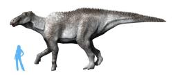 Přibližně takovouto barvu mohli mít někteří kachnozobí dinosauři z podčeledi Saurolophinae. Vzdáleně tak připomínali například dnešní nosorožce a slony (zde opět obří pozdně křídový hadrosaurid Shantungosaurus giganteus). Kredit: Nobu Tamura; Wikipedia (CC BY-SA 4.0) Přibližně takovouto barvu mohli mít někteří kachnozobí dinosauři z podčeledi Saurolophinae. Vzdáleně tak připomínali například dnešní nosorožce a slony (zde opět obří pozdně křídový hadrosaurid Shantungosaurus giganteus). Kredit: Nobu Tamura; Wikipedia (CC BY-SA 4.0)