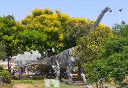 Model obřího titanosaurního sauropoda druhu Argentinosaurus huinculensis téměř v životní velikosti. Počítačový model lokomoce tohoto obřího dinosaura ukázal, že se i přes svou osmdesátitunovou hmotnost dokázal pohybovat překvapivě svižně – rychlostí až kolem 8 km/h. Rychlejší ostatně být nemusel – pokud dorostl do plné velikosti, pak pravděpodobně neměl žádného přirozeného nepřítele. Kredit: MathKnight a Zachi Evenor; Wikipedie (CC BY 3.0)