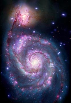 Galaxie M51 s umístěním rentgenové dvojhvězdy M51-ULS-1. Kredit: NASA/CXC/SAO/R. DiStefano, et al.; Optical: NASA/ESA/STScI/Grendler.