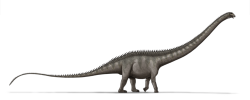 Rekonstruovaná kostra supersaura dokládá, že i přes ohromné rozměry byl tento sauropod stavěn poměrně lehce. I proto je hmotnost dnes známých fosilních exemplářů supersaura odhadována „jen“ v rozmezí 35 a 44 tun. Kredit: Zach Tirrell; Wikipedia (CC BY-SA 2.0) Rekonstruovaná kostra supersaura dokládá, že i přes ohromné rozměry byl tento sauropod stavěn poměrně lehce. I proto je hmotnost dnes známých fosilních exemplářů supersaura odhadována „jen“ v rozmezí 35 a 44 tun. Kredit: Zach Tirrell; Wikipedia (CC BY-SA 2.0)