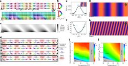 Časové krystaly z tekutých krystalů. Kredit: Zhao et al. (2025), Nature Materials.