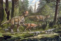 V ekosystémech geologického souvrství Hell Creek i některých dalších byl Pachycephalosaurus patrně jen jedním z více druhů pachycefalosauridů. Kromě tohoto rodu se zde vyskytovaly také další taxony jako Sphaerotholus nebo Stygimoloch (pakliže se ovšem nejedná pouze o různá vývojová stadia samotného pachycefalosaura. Kredit: ABelov2014; Wikipedia (CC BY-SA 3.0)