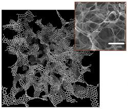 Trojrozměrná struktura 3D grafenu v elektronovém mikroskopu. Kredit: Qin et al. Sci. Adv. 2017;3:e1601536.